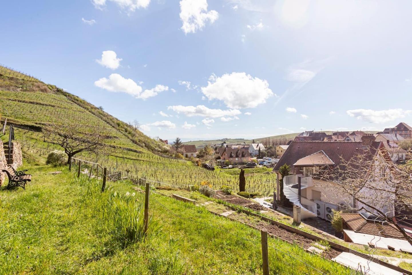 Les Glycines Du Sommerberg Niedermorschwihr Exterior foto
